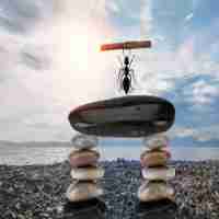 快﻿速‌反﻿爬​虫‌技‍术‍工​具​